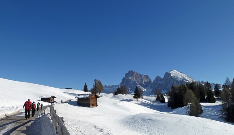Visit Alpe di Siusi: Best of Alpe di Siusi Tourism